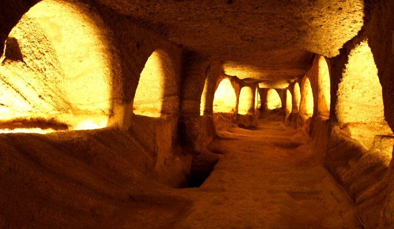 {short description of image}